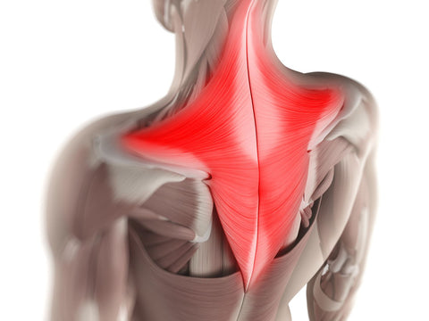 Massage for Upper Back Pain (Erector Spinae)