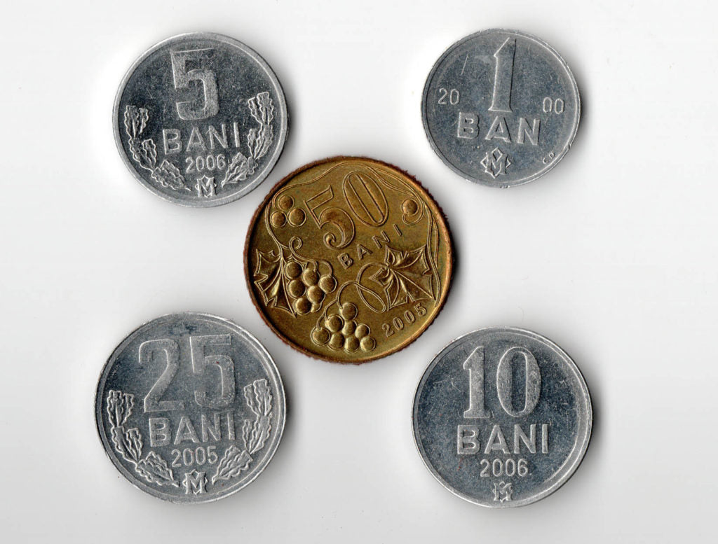 Moldova Bani coins set - 5 coins