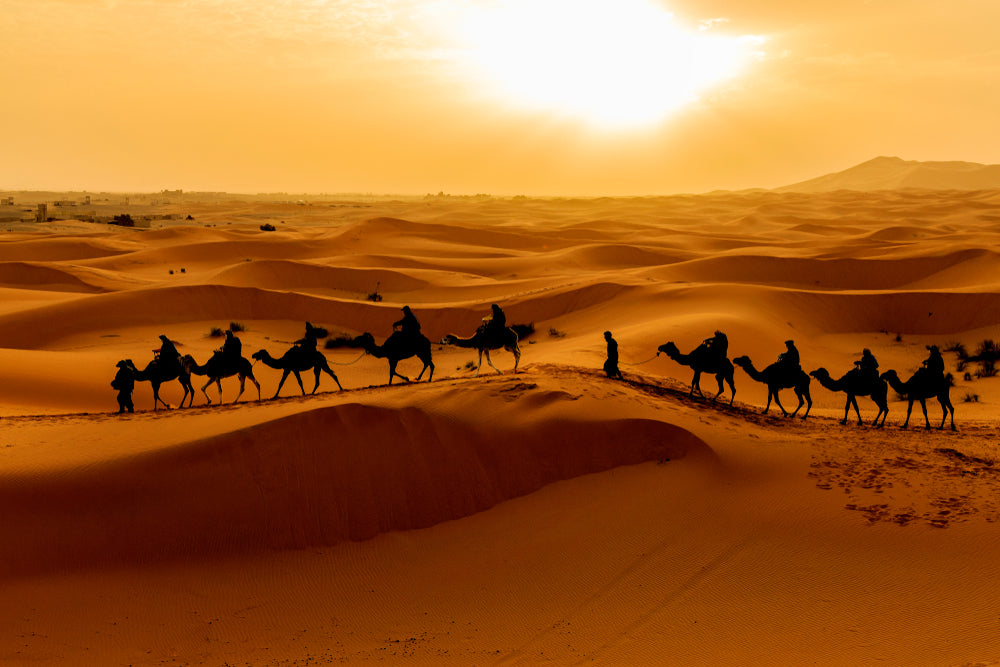 Le désert du Sahara Marocain