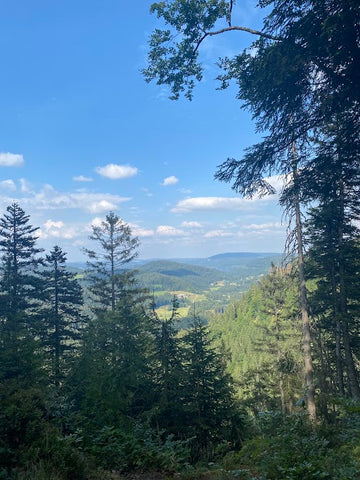 Atmenberaubender Ausblick auf die Landschaft im Schwarzwald