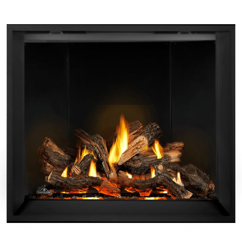 Napoleon Elevation X 42" Direct Vent Gas Fireplace | EX42