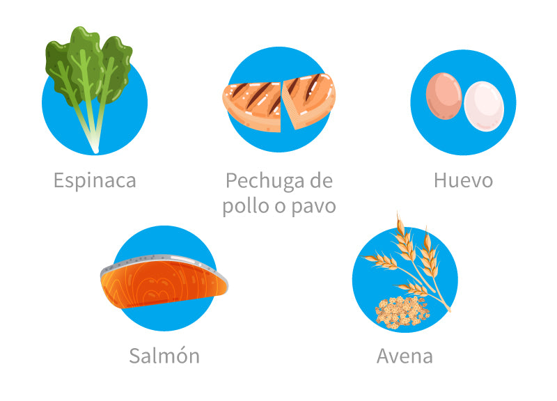 Consumir las proteínas adecuadas