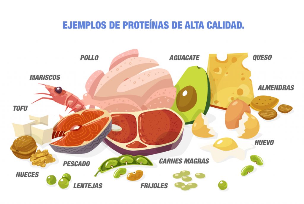 Ejemplos de proteínas de alta calidad en una guía de alimentación