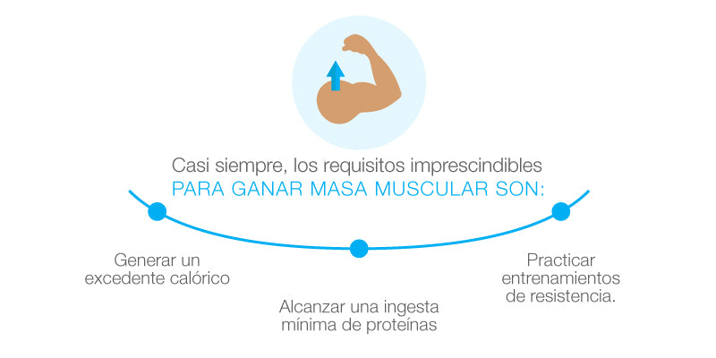 ¿Es imprescindible tomar suplementos para aumentar la masa muscular?