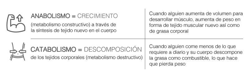 Diferencias entre peso y grasa corporal, por qué engordamos al comenzar el  gimnasio y claves para reducir barriga aun sin perder peso