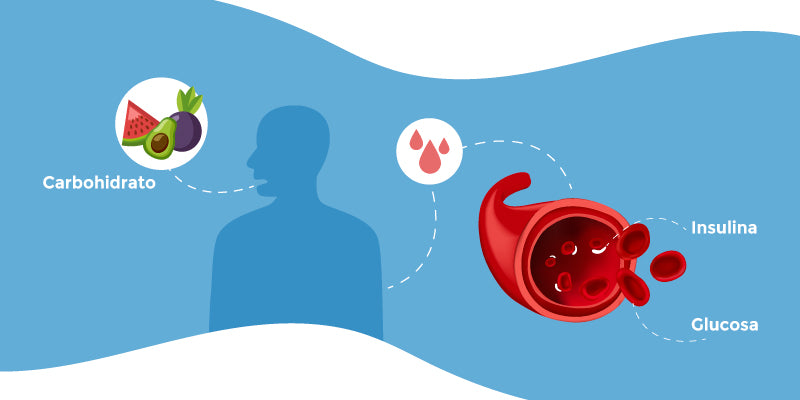 Relación carbohidratos – insulina