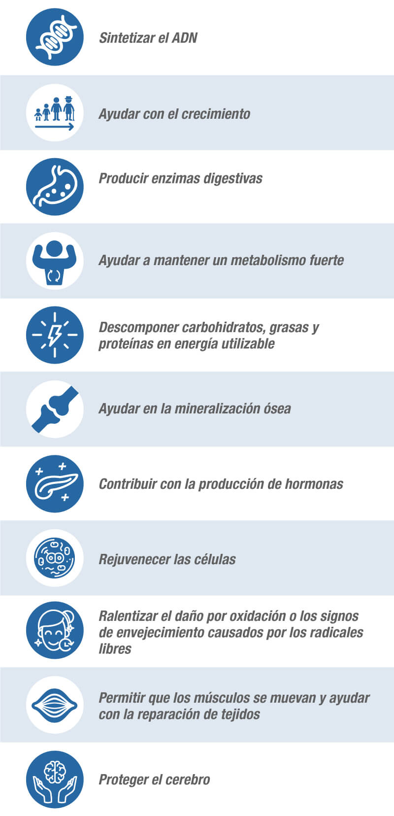 Entre las funciones principales de los micronutrientes esenciales se incluyen: