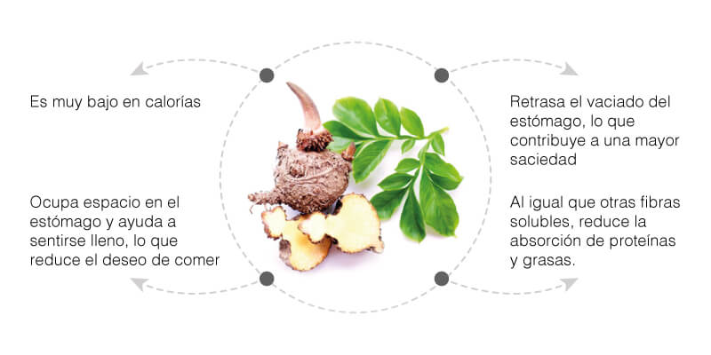 Beneficios del Glucomanano de Konjac