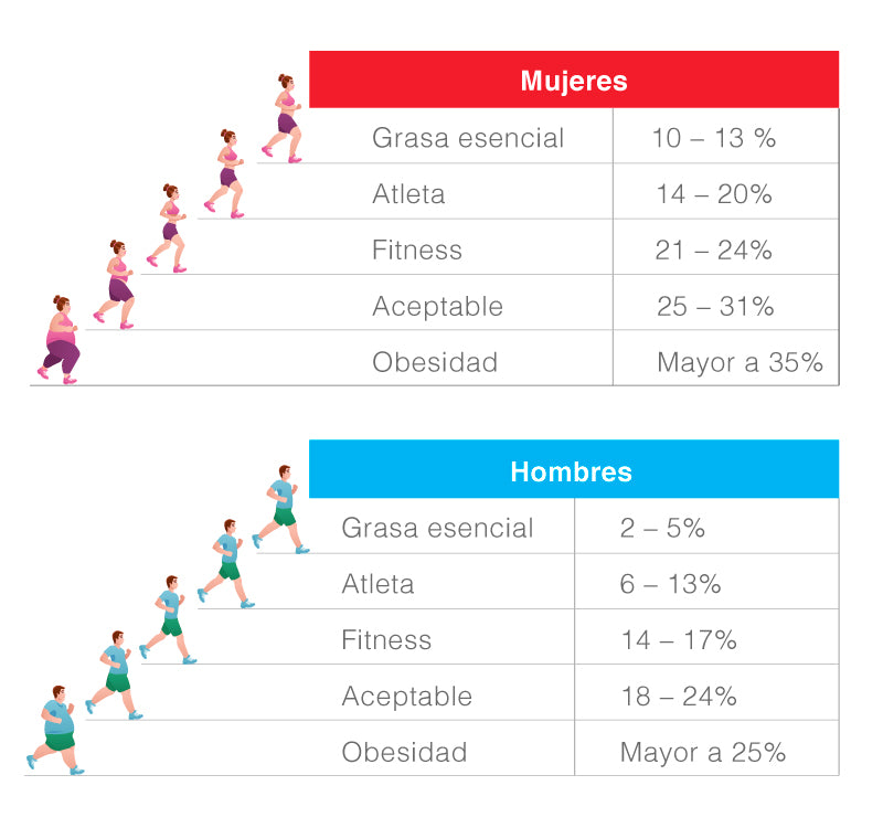 Cuál es el porcentaje de grasa ideal