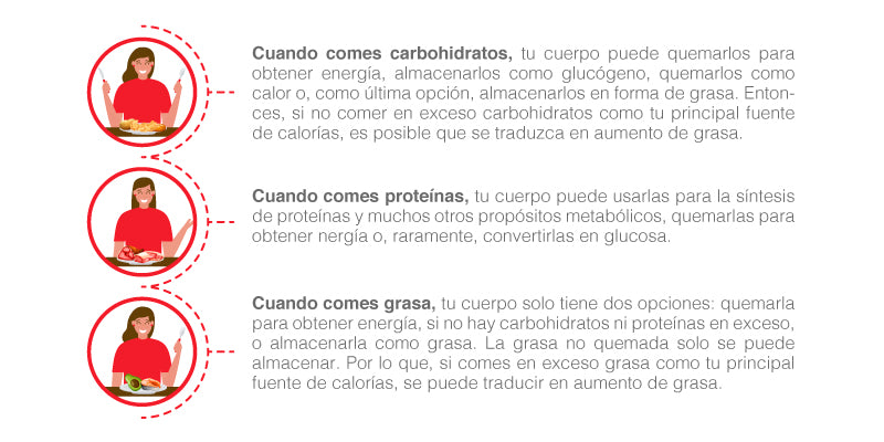 Cómo consumir tus macronutrientes si quieres disminuir el aumento de grasa