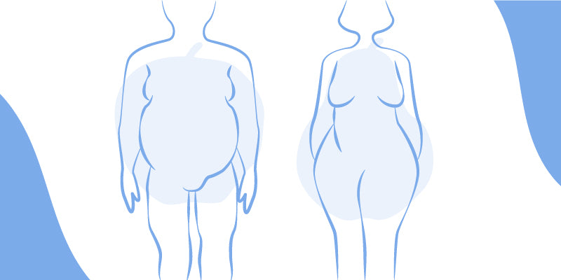 The types of fat distribution that your body has