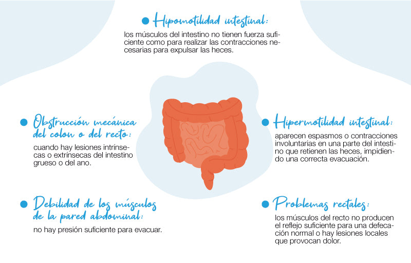 Constipation can have various physiological causes such as: