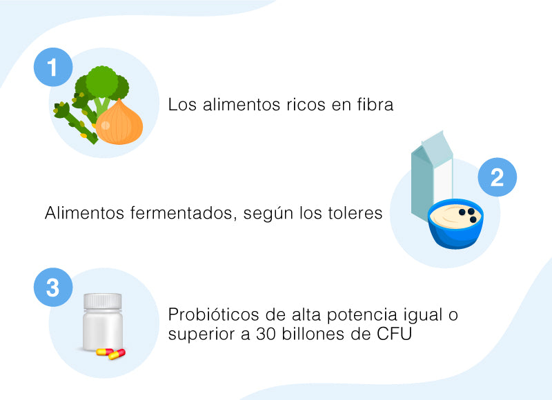 Qué alimentos ayudan a mejorar las bacterias intestinales y a perder peso