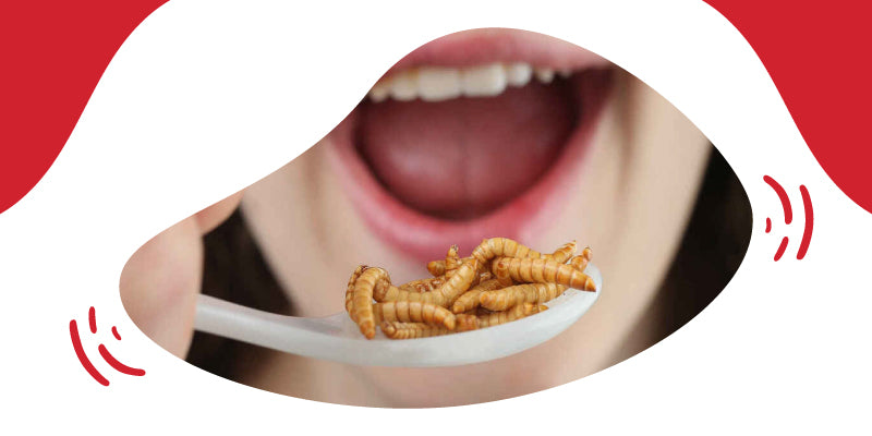Worms (eating worms)