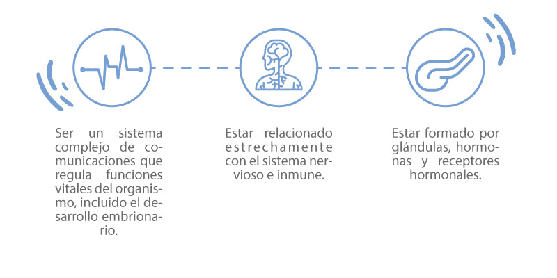 In summary: the hormonal or endocrine system is vital for life and the proper functioning of the body, which is characterized by: