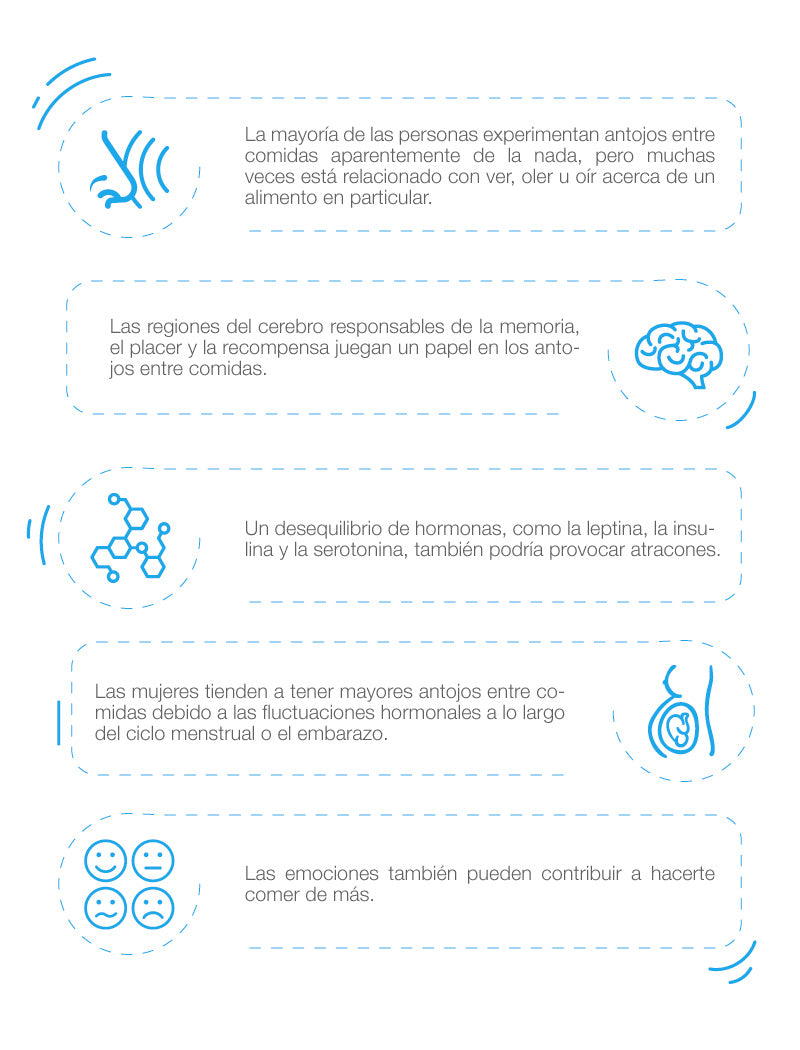 The possible causes of cravings between meals