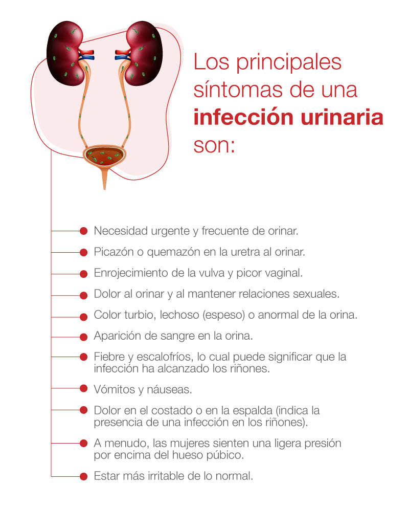 ¿Cuáles son los síntomas de las infecciones urinarias?
