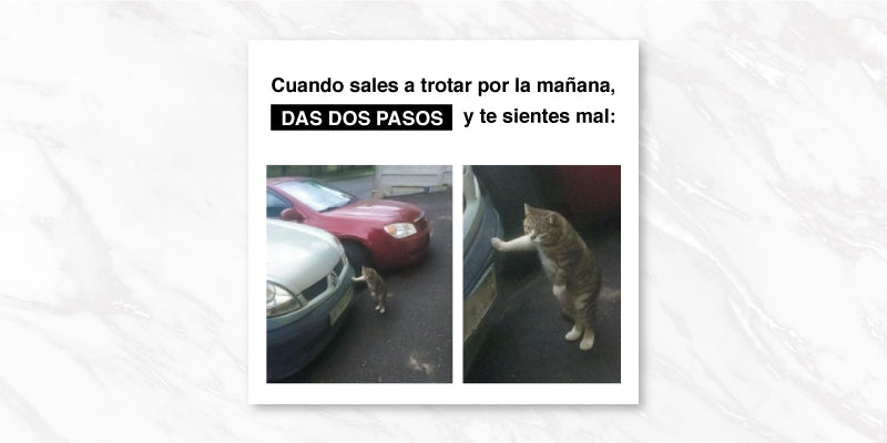 Memes sobre el estilo de vida saludable de la semana