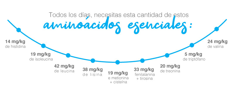 Todos los días, necesitas esta cantidad de estos aminoácidos esenciales: