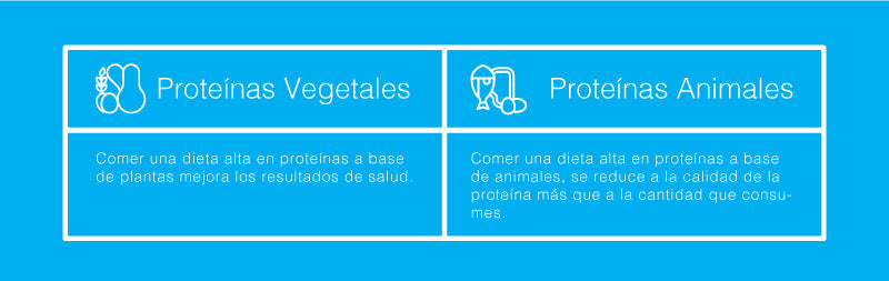 Vegetable proteins vs animal proteins