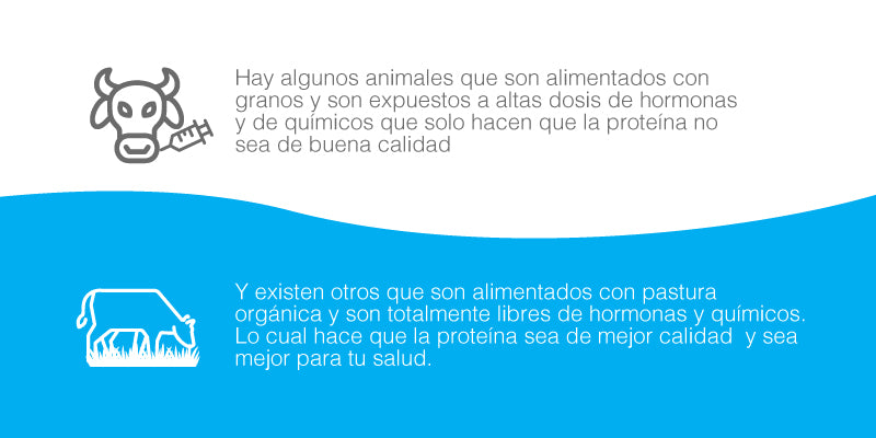 la alimentación de los animales