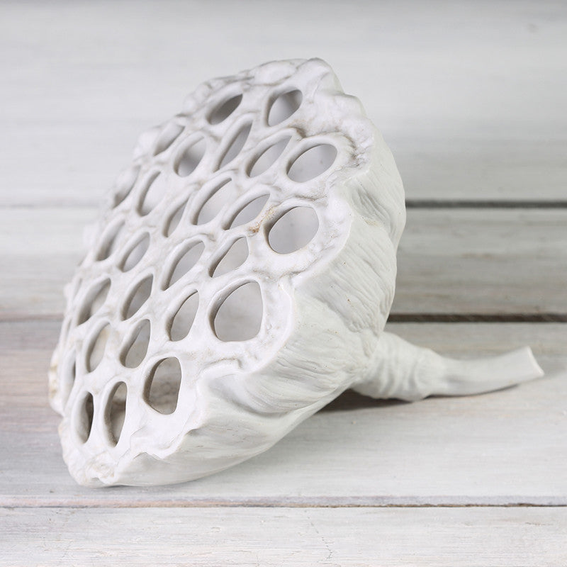 Shell Porcelain Pod