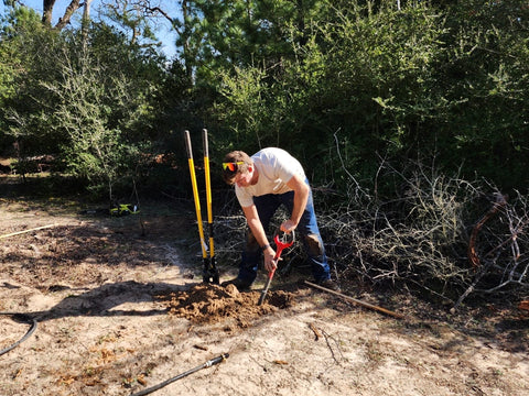 Planting trees