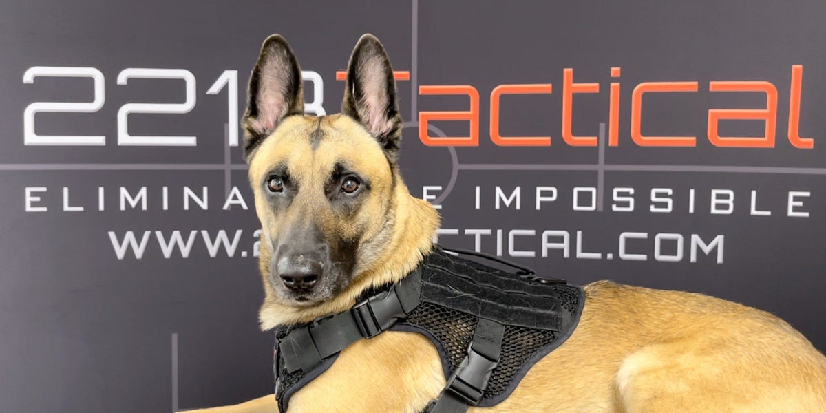 how do you measure a dog for a k9 harness