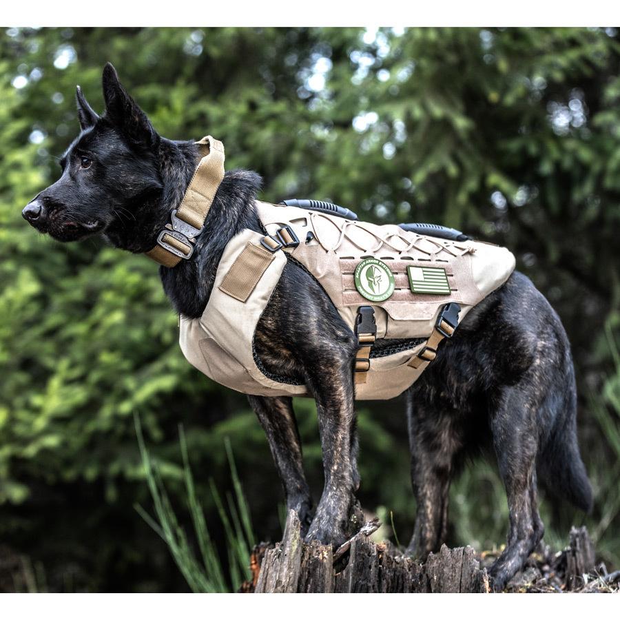 Titan Vest - Level IIIA K-9 Body Armor – 221B Tactical