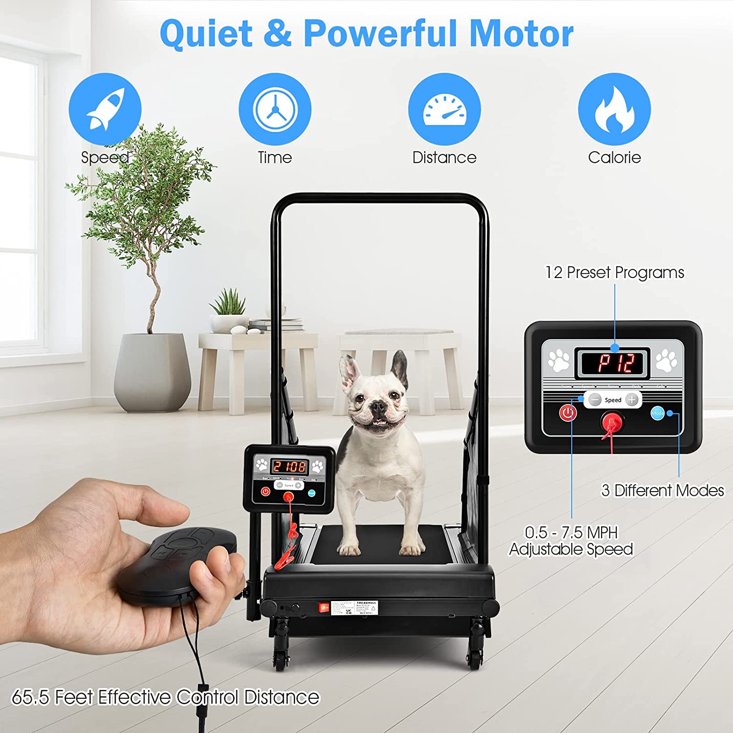 200 LBS Pet Dog Treadmill Running Machine with Remote Control and LCD Display