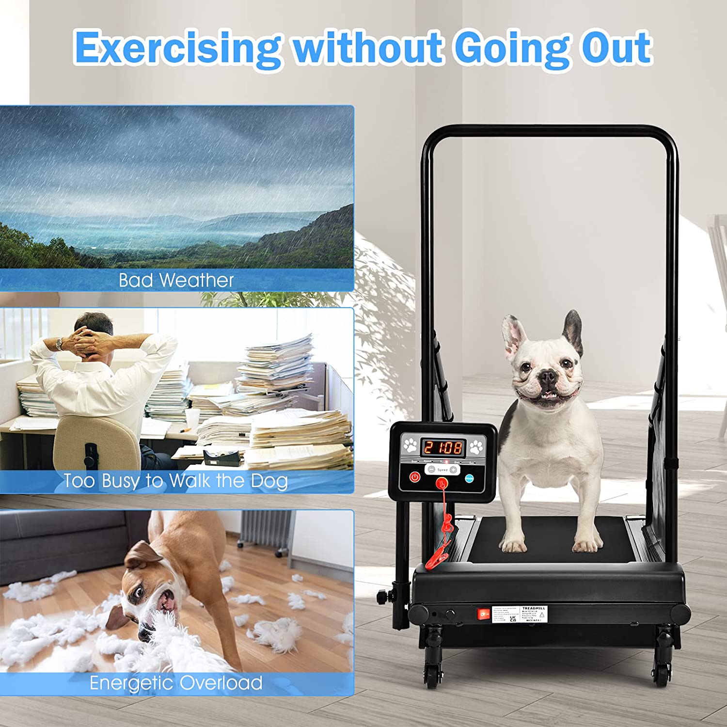 200 LBS Pet Dog Treadmill Running Machine with Remote Control and LCD Display