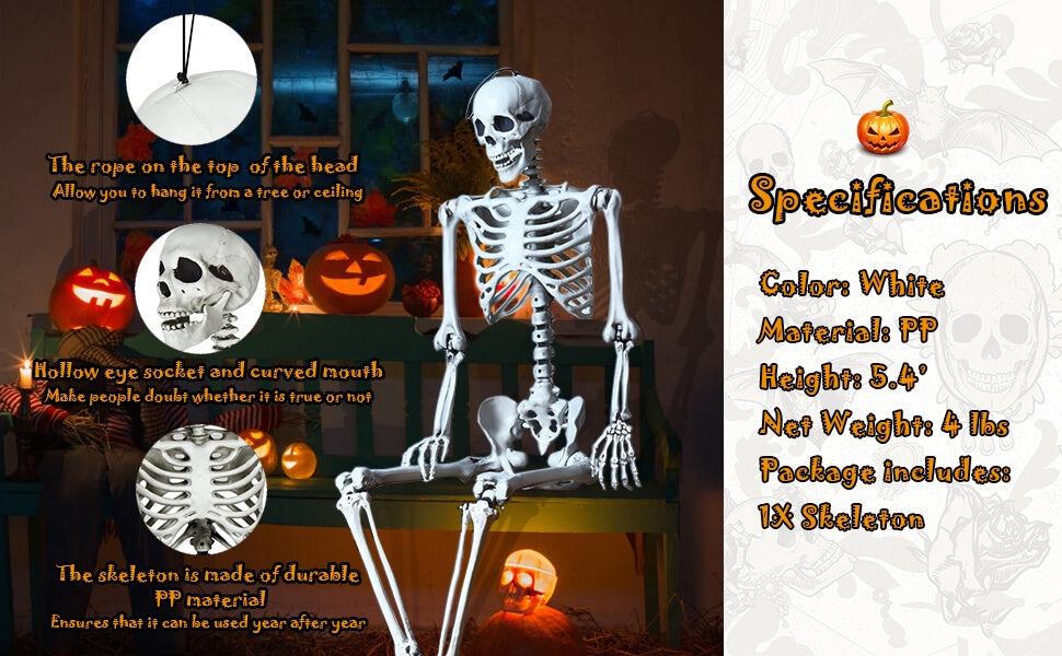 5.4 Feet Halloween Skeleton Life Size Realistic Full Body Hanging