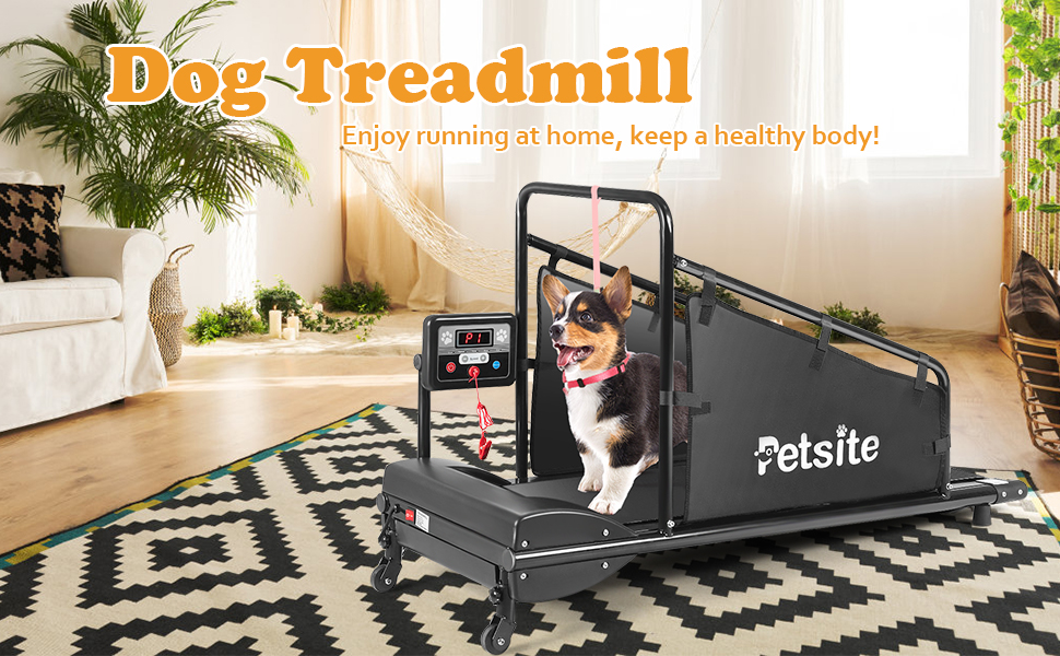 Pet Treadmill Indoor Exercise Pet Exercise Equipment with Remote Control