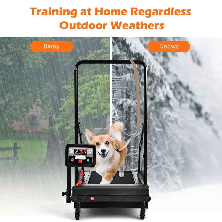 Chairliving Indoor Dog Treadmill Pet Running Machine Fitness Equipment with Remote Control and 1.4 LCD Screen for Small Mediu Sized Dogs