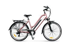 Elekwheels -KRX-7200 350W 48V 13Ah Electric Mountain Bike - Pink (1).png__PID:2c81c6c8-5894-4b7b-b4fa-529a1a6e54bd