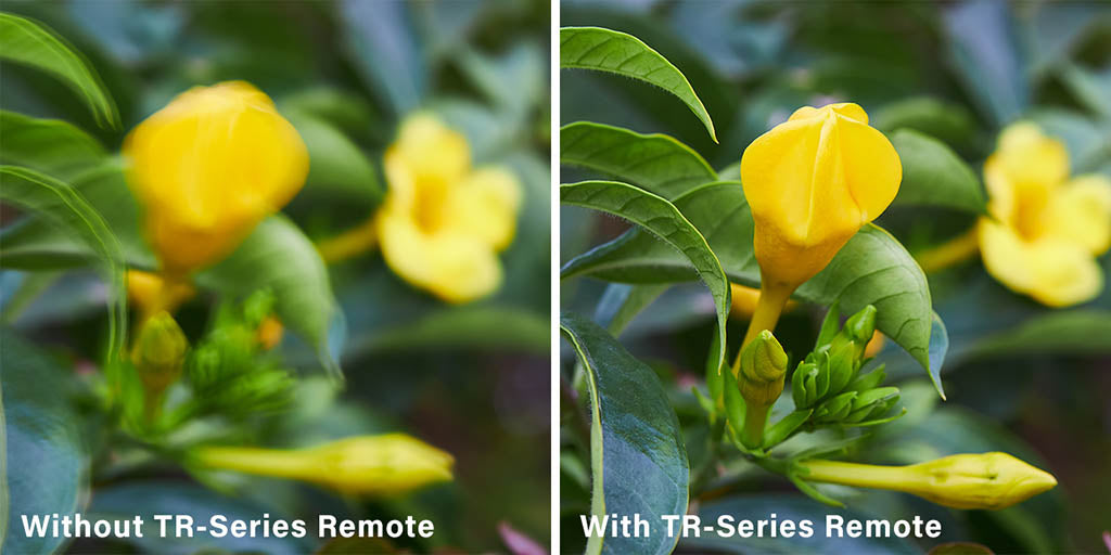 Image comparison with or without TR-Series Remote Shutter Release
