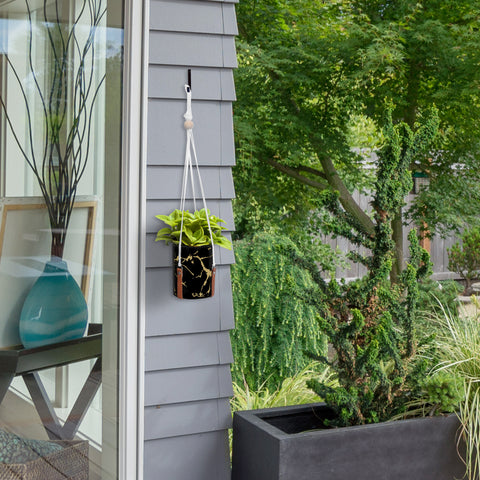 black and gold ceramic hanging planter