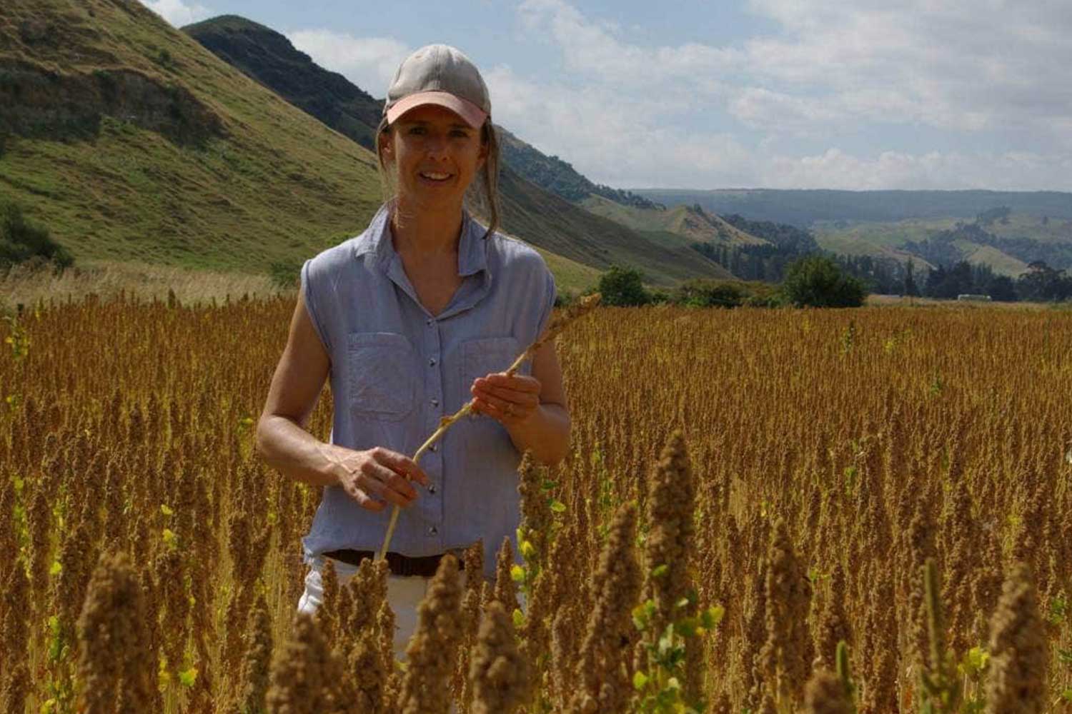 Farmers keen for quinoa on Country Calendar