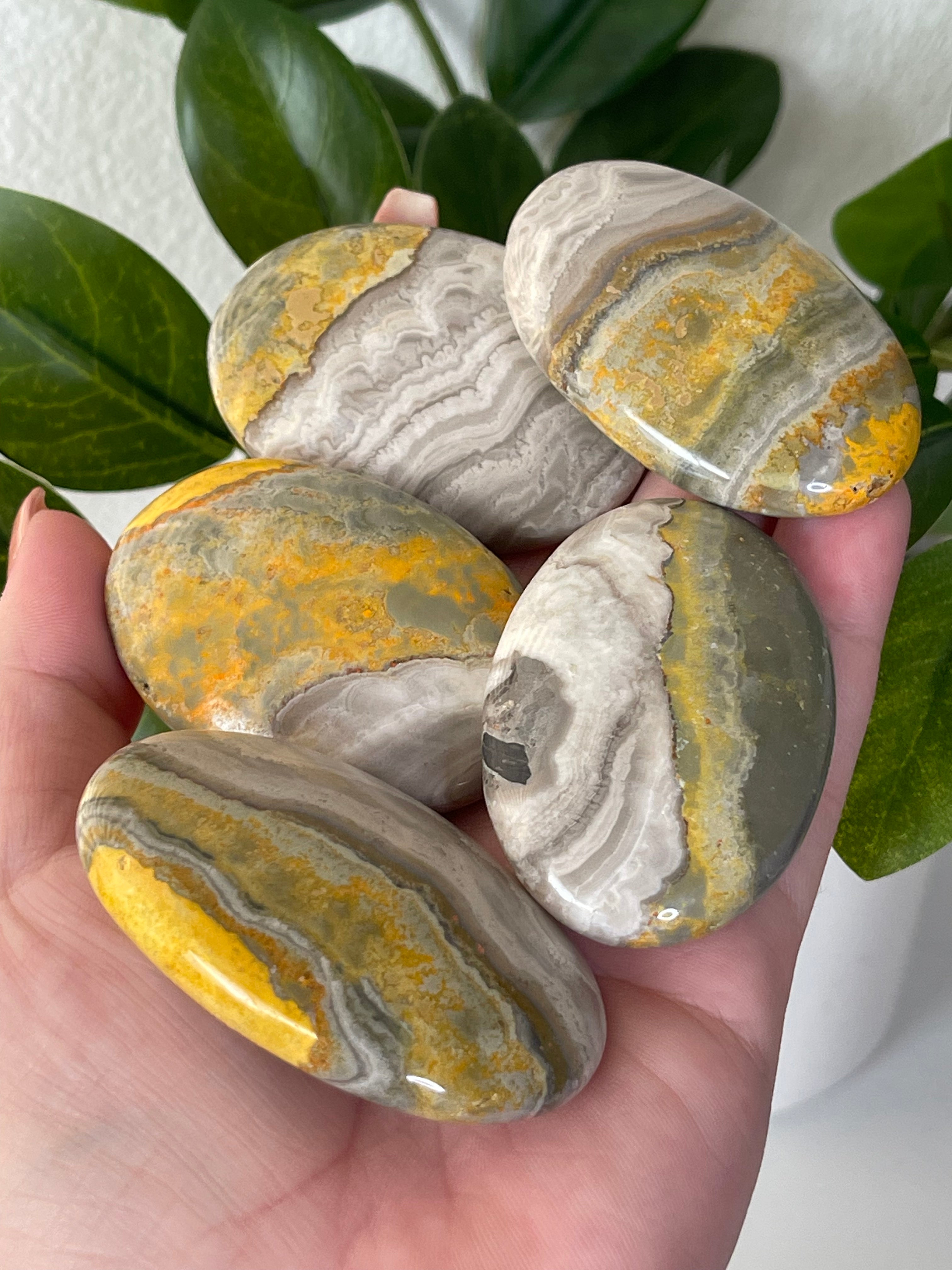 Bumblebee Jasper Palmstone