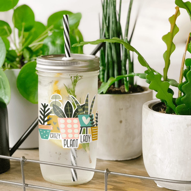 Crazy Plant Lady 16 oz. Frosted Libbey Glass Can – Mariah's Craft Mill