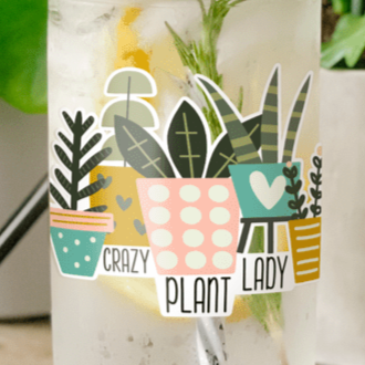 Crazy Plant Lady 16 oz. Frosted Libbey Glass Can – Mariah's Craft Mill