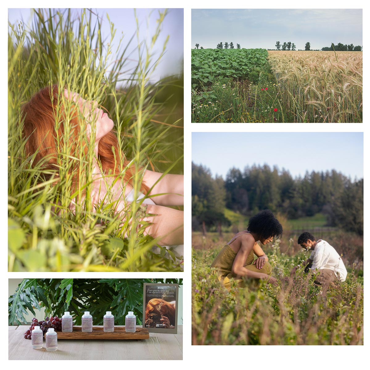 sustainable regenerative agriculture collage 