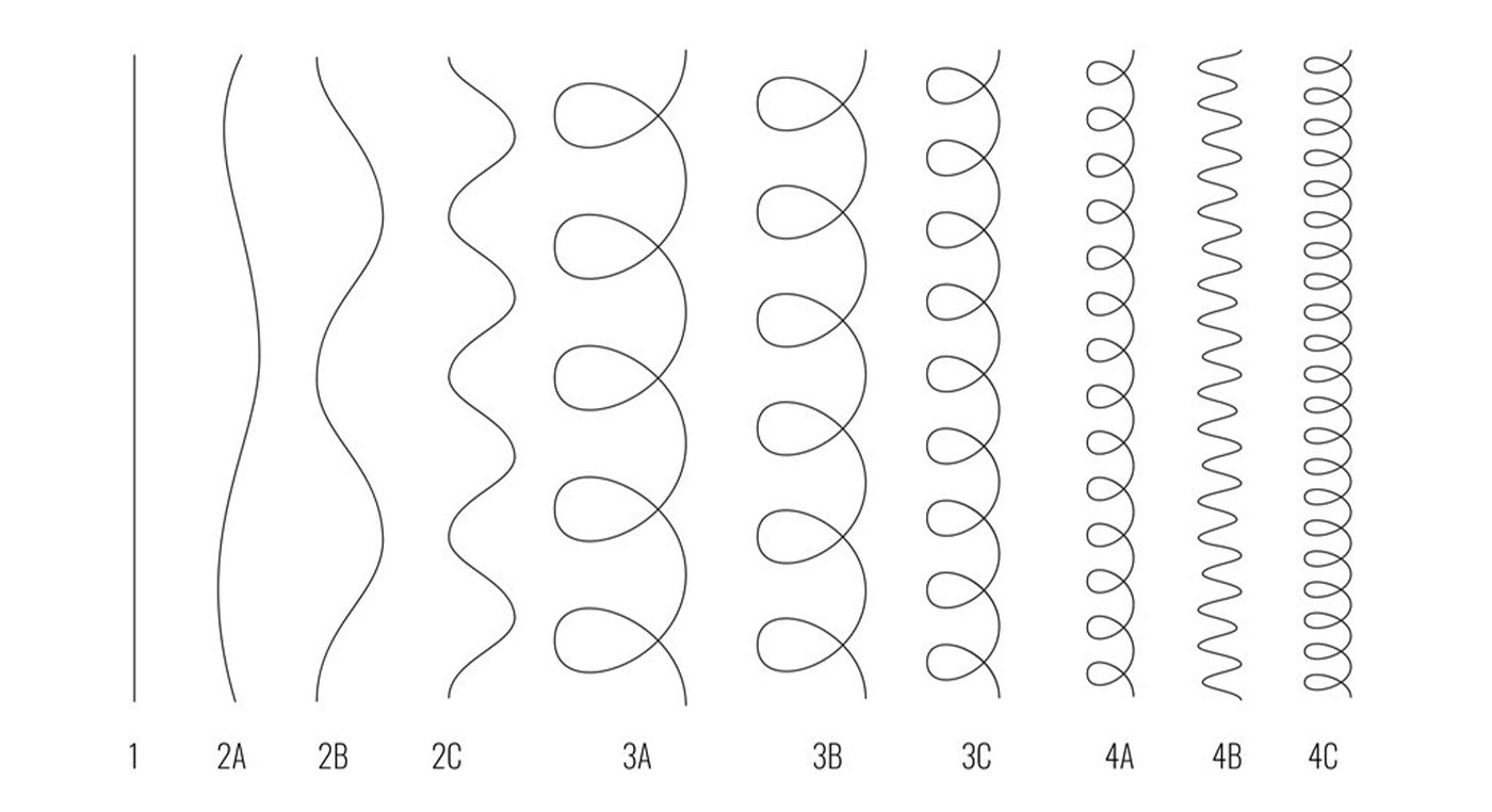 Curl Type Chart