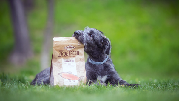Koiran True Fresh -kuivaruoka - Ei enää ilmavaivoja