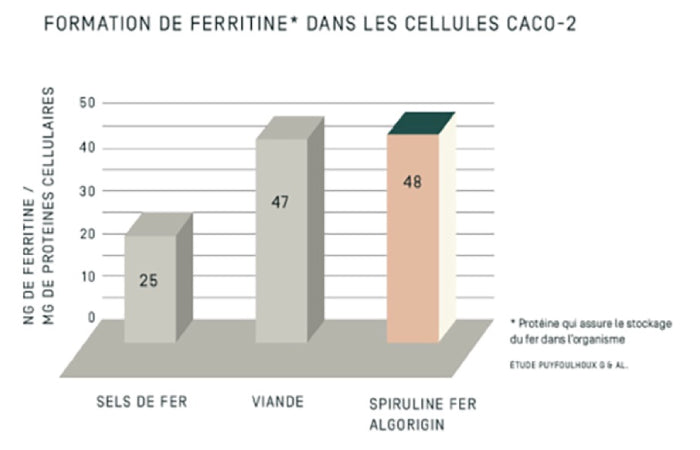 Spiruline fer assimalable comme la viande rouge