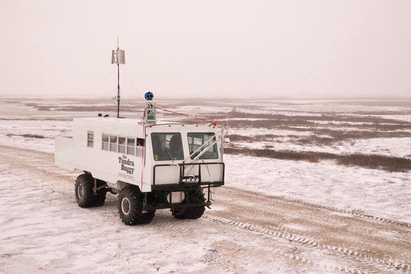 Tundra Buggy One, Polar Bears International