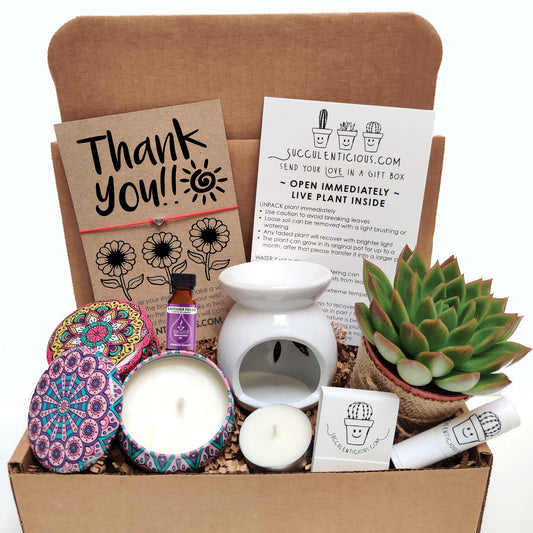 Thank You Succulent Gift Box