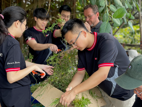 Corporate volunteers doing farm work on the City Sprouts farm during a team bonding session.