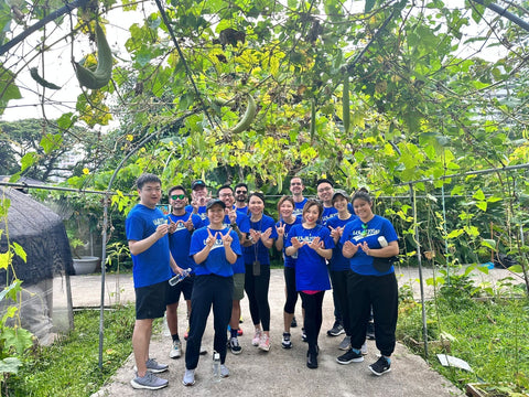 Corporate Volunteers Volunteering at Urban Farm Singapore