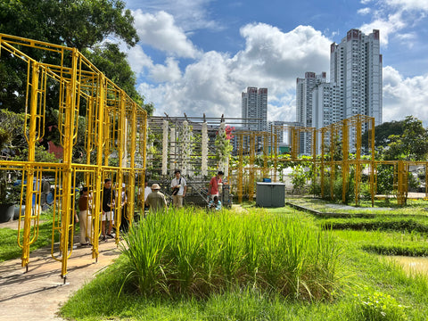 Urban Farm in the City Singapore